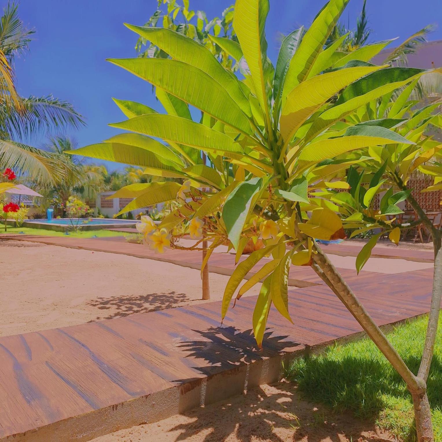 Condomínio Shalom Beach Canoa Quebrada Exterior foto